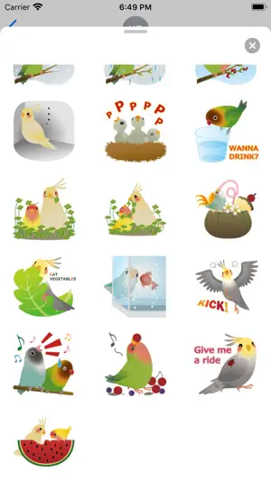 Adorable Birds Emoij Stickers