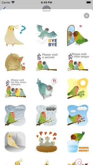 Adorable Birds Emoij Stickers