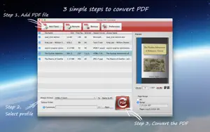 PDF File Converter - 转化为Word文件