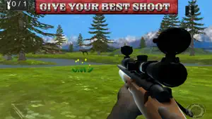 Best Shooter Deer:Hunting For